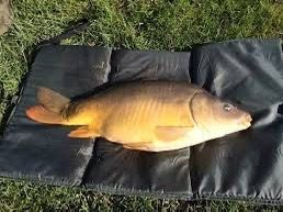 Leather Carp