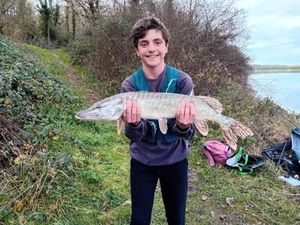 Northern Pike