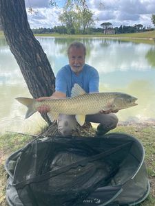 Grass Carp