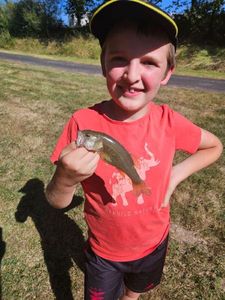 Largemouth Bass