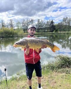 Mirror Carp