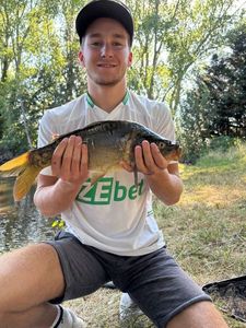 Leather Carp