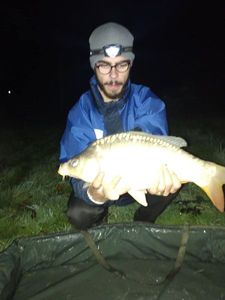 Mirror Carp