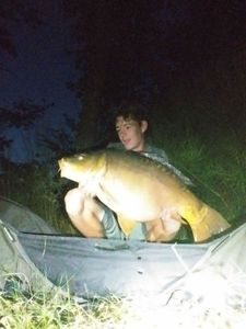 Mirror Carp