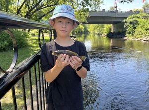 Smallmouth Bass