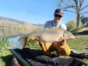 Mirror Carp