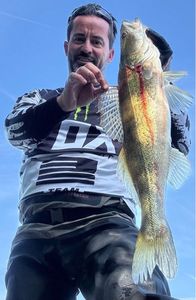 Zander