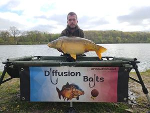 Mirror Carp