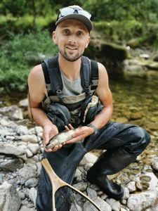 Brown Trout