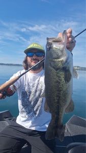 Largemouth Bass