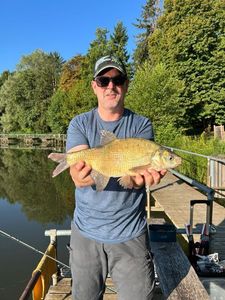 Common Bream