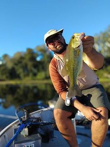 Largemouth Bass