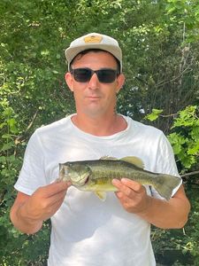 Smallmouth Bass