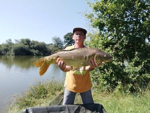 Mirror Carp