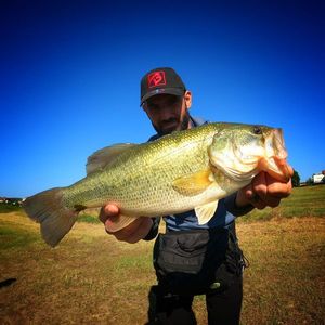 Largemouth Bass