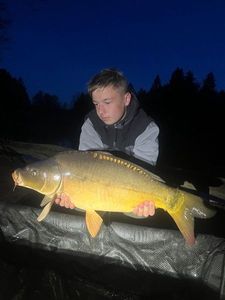Mirror Carp