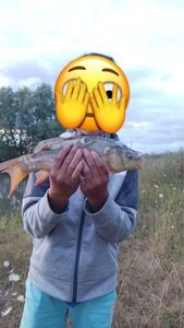 Mirror Carp