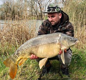 Mirror Carp