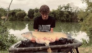 Grass Carp