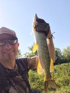 Northern Pike