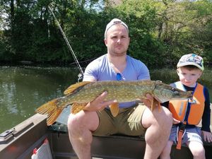 Northern Pike