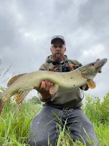 Northern Pike