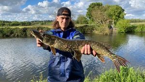 Northern Pike