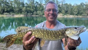 Northern Pike