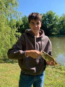 Largemouth Bass
