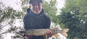 Northern Pike