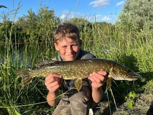 Northern Pike