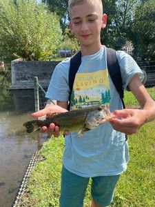 Largemouth Bass