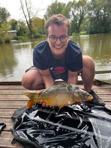 Mirror Carp