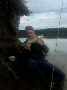 Walleye