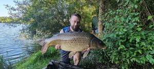 Common Carp