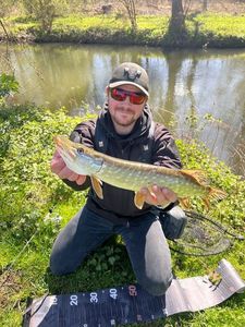 Northern Pike