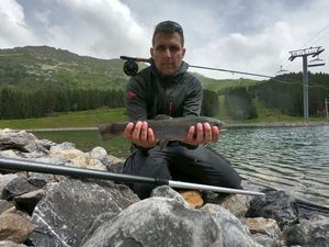 Rainbow Trout