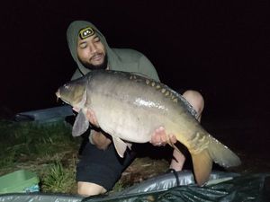Mirror Carp