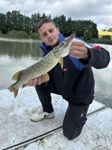 Northern Pike