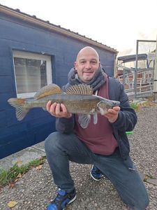 Zander