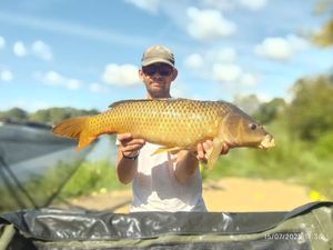 Common Carp