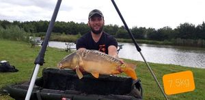Mirror Carp