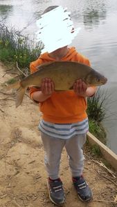 White bream