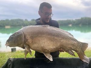 Mirror Carp