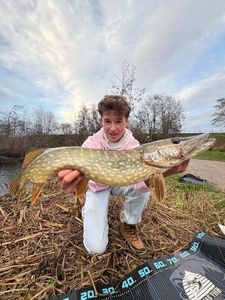 Northern Pike