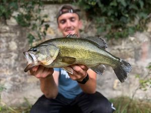 Smallmouth Bass