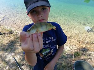 European Perch