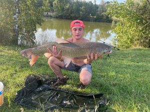 Grass Carp