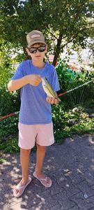 Smallmouth Bass