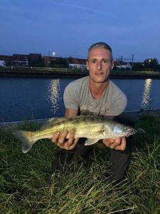 Zander